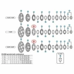Pignon Shimano Dura Ace CS-9000 - 11 Vitesses - 17 Dents - 11-28/12-25/12-28 Dents -magasin de pièces de vélo pas cher pignon shimano dura ace cs 9000 11 vitesses 17 dents 11 28 12 25 12 28 dents 1