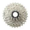 Cassette Route Shimano Ultegra CS-R8100 12V 11/30